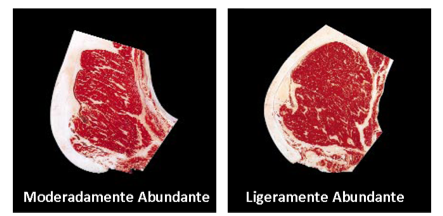 BEEF 101 - Basicos sobre Cortes de Carne